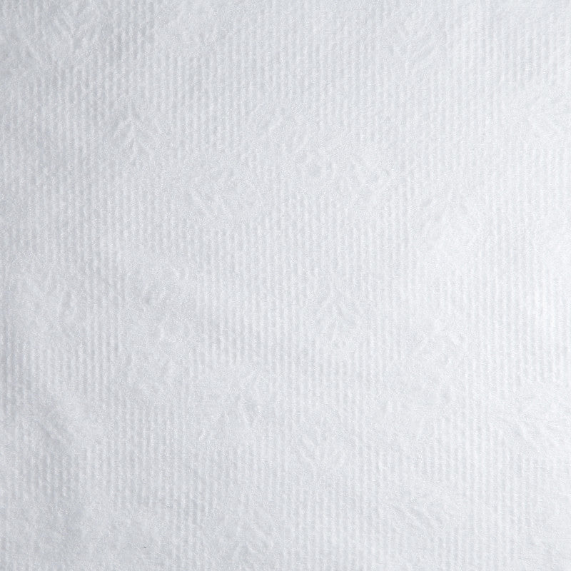 LUSSONI Asciugamano BIO-ECO Monouso, 70 cm x 50 cm, 100 Pezzi #2